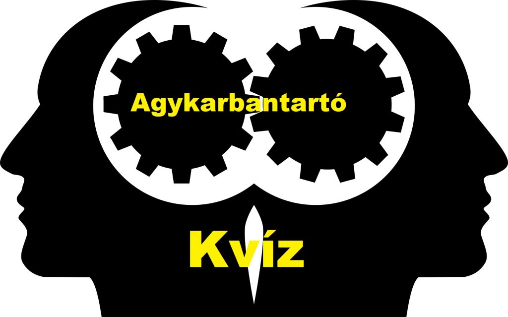 kvíz