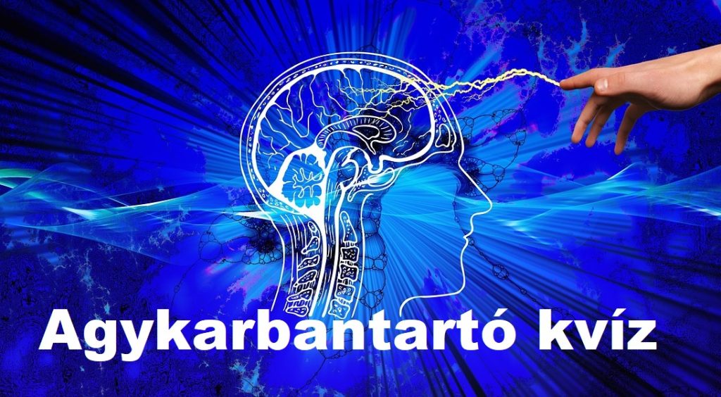 agykarbantartó kvíz