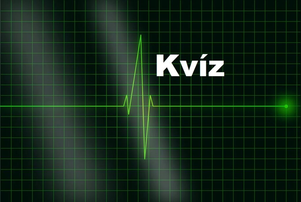 kvíz
